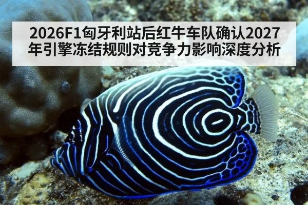 2026F1匈牙利站后红牛车队确认2027年引擎冻结规则对竞争力影响深度分析